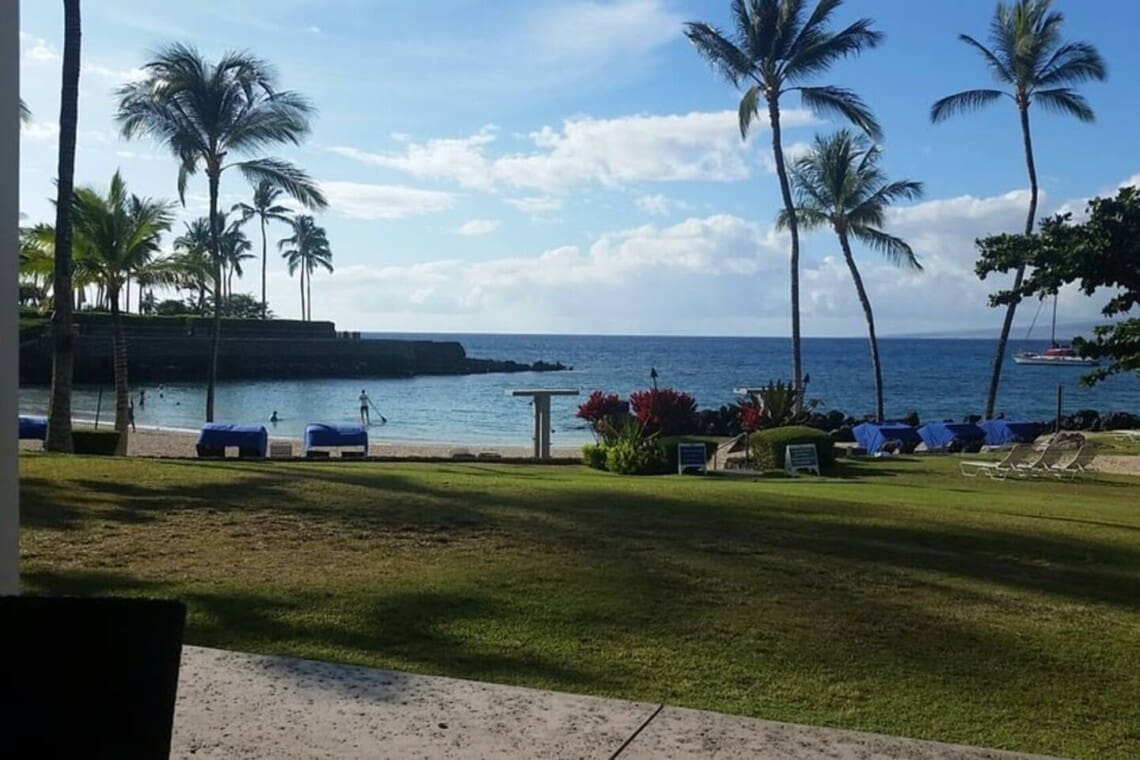 A scenic view looking past a grassy lawn toward a calm ocean cove lined with palm trees, beach chairs, and a stand-up paddleboarder under a partly cloudy sky.