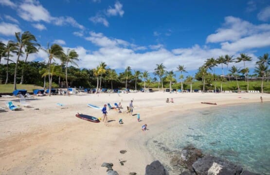 A sunny white sand beach with clear turquoise water, fringed by palm trees, blue beach cabanas, and people relaxing near the shore under a bright blue sky.