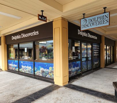 Dolphin Discoveries