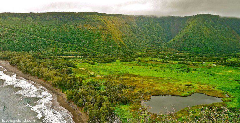Waipio Valley Hike (North End of Island)