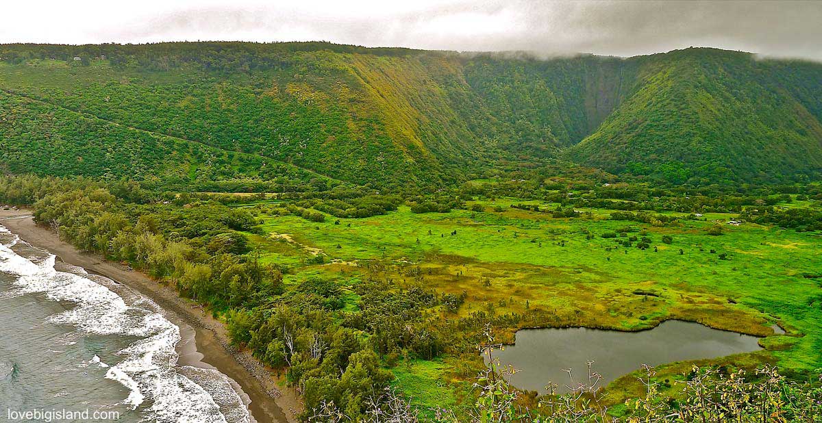 Waipio Valley Hike (North End of Island)