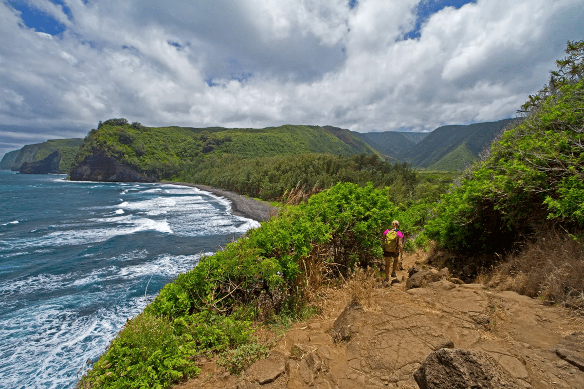 Big Island Hikes