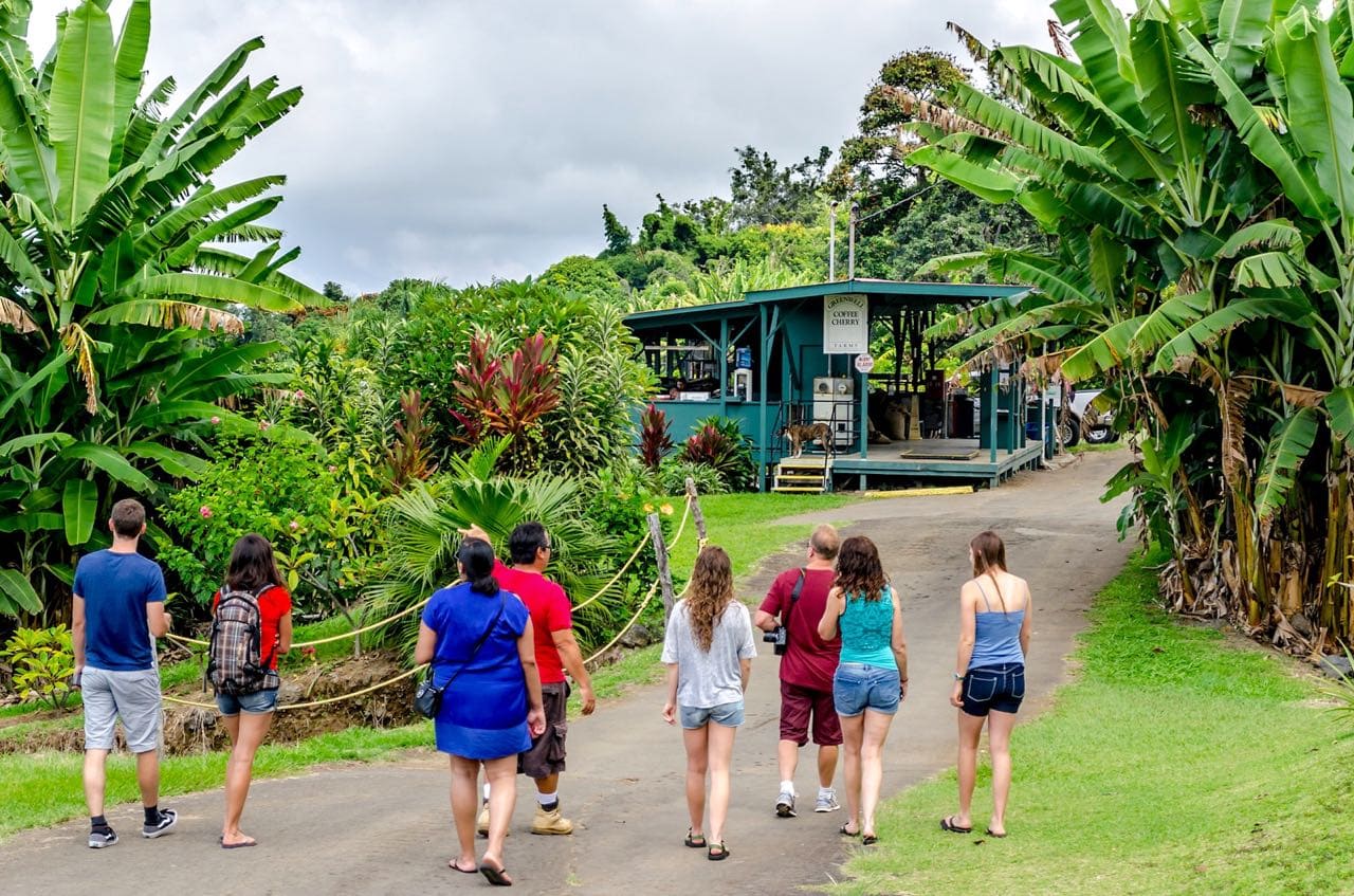 Kona Coffee Tours