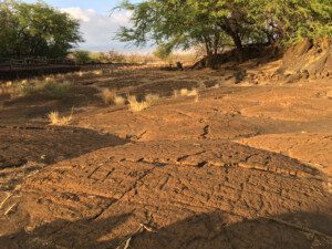 Hidden Gems on the Big Island