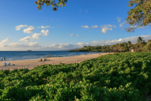 Hapuna Beach family guide